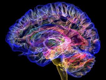 色射射大脑植入物有助于严重头部损伤恢复